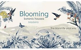 Blooming Botanic Houses